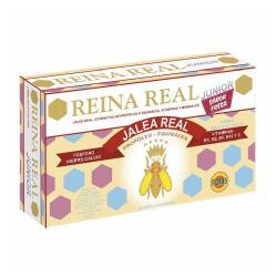 REINA REAL INFANTIL – JUNIOR – 20 AMP.